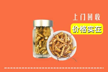 衡阳市雁峰回收散虫草
