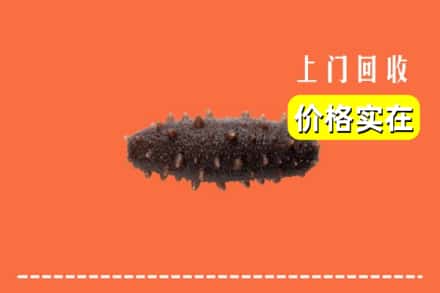 衡阳市雁峰回收海参